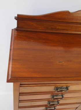 Edwardian Mahogany Music Cabinet
